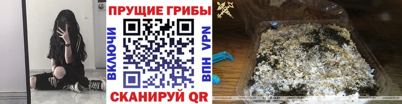 mega маркетплейс Горячеводский Псилоцибиновые грибы мицелий где можно купить