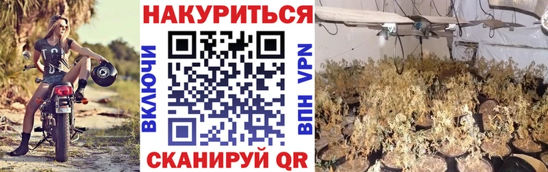 Бошки марихуана Bruce Banner Горячеводский